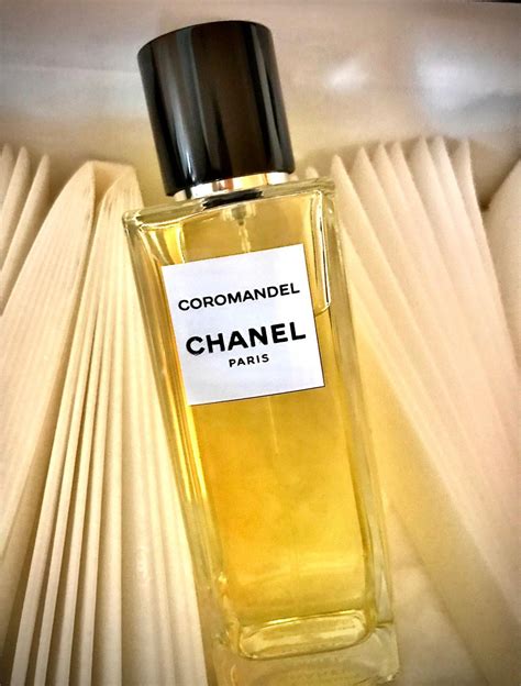 chanel coromandel mens|chanel unisex perfume price.